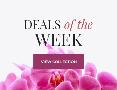 deals-of-the-week